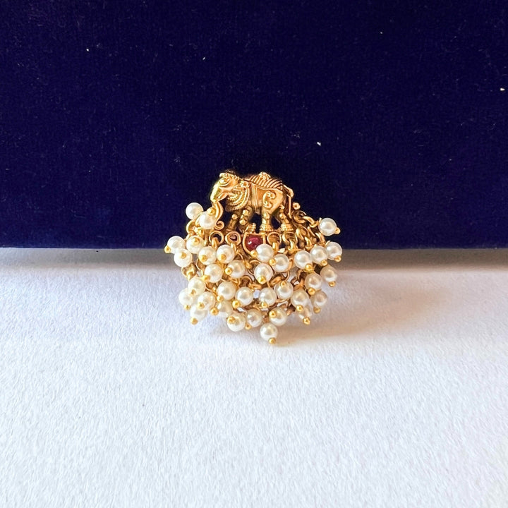 Moti Vilas ring